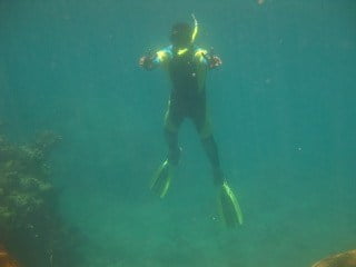 Lawaki Beach House Intern Fieldwork: Coral Reef Surveys